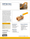Ball & Plug Valves