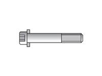 Metric Standard Twin Series ISB Cap Screws
