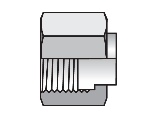 6FNMLS Seal-Lok ORFS Plug and Cap FNML