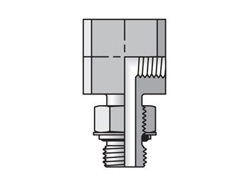 2-2A4OEG4MS BSPP Female Elbow BSPP-ORR / BSPP 2-2A4OEG4MS Pipe & Port 90° Elbow A4OEG4M