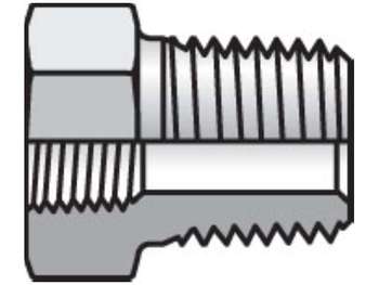 1/4 X 1/8 PTR-SS Pipe & Port Reducer, Expander, Conversion PTR